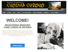 Tablet Screenshot of cosimacorsos.com